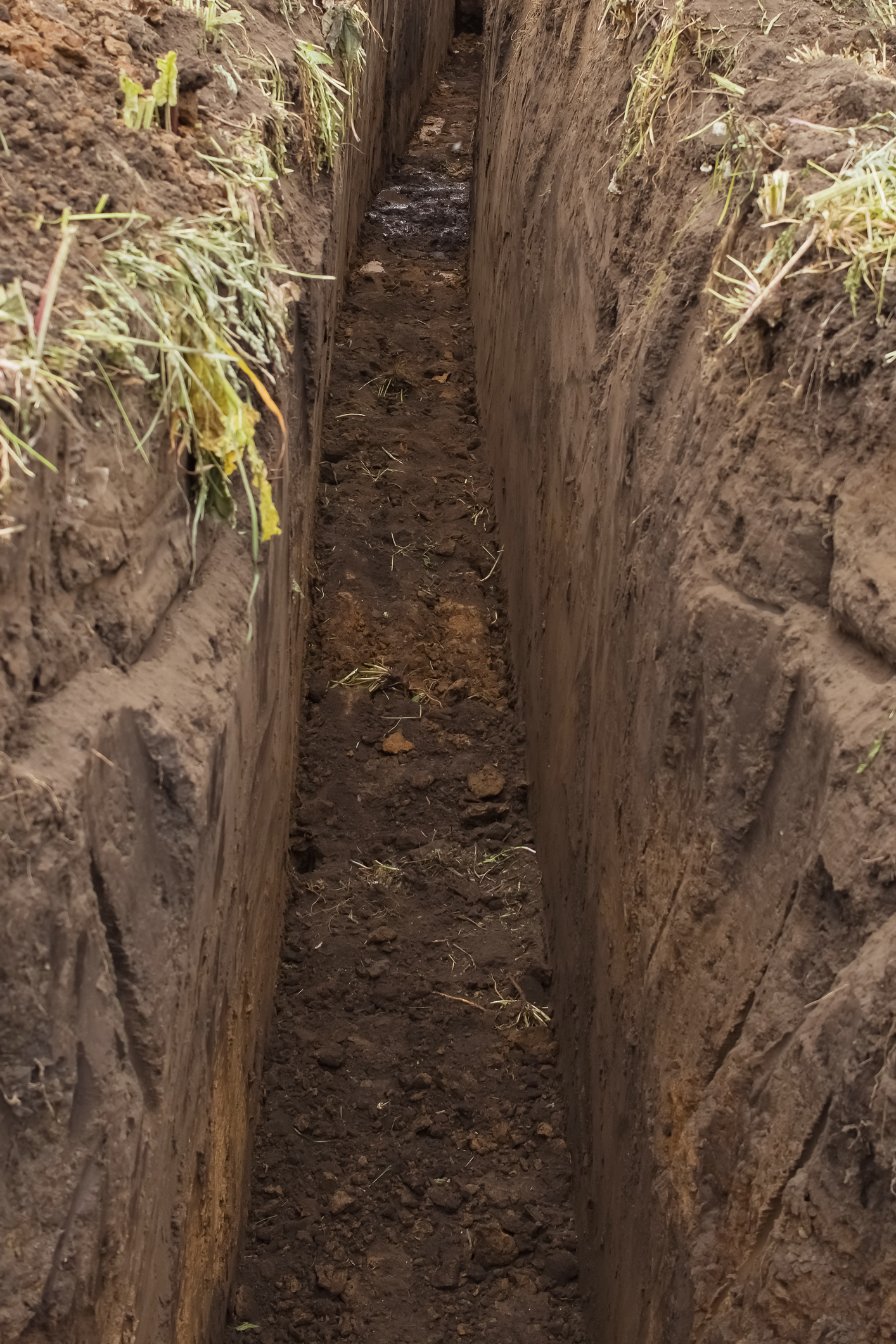 Trench Getty Images Dina Morozova