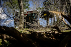 Bobcat skid-steer loader with forestry attachment clearing branches among trees