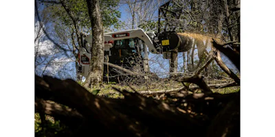 Bobcat skid-steer loader with forestry attachment clearing branches among trees