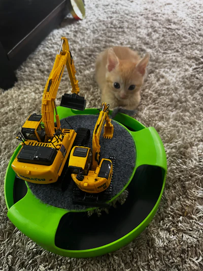 Sue undergoes training.