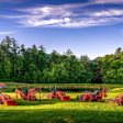 Red farm equipment and machinery lined up in a sunny green field with forest backdrop