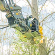 Hydraulic tree trimmer attachment with yellow and black components mounted on machinery, cutting branches overhead
