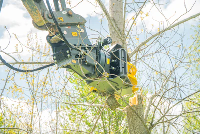 Hydraulic tree trimmer attachment with yellow and black components mounted on machinery, cutting branches overhead